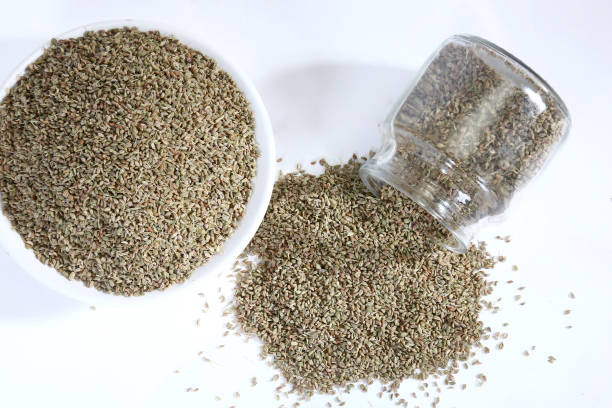 Fresh  Ajwain