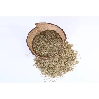 Common  Ajwain