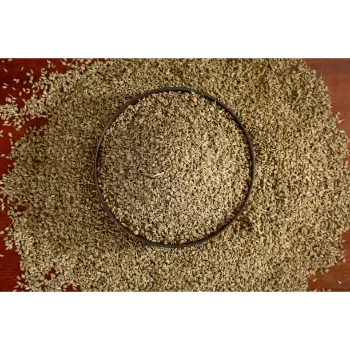 Common   Ajwain