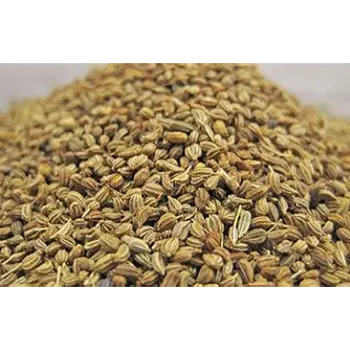Fresh Ajwain