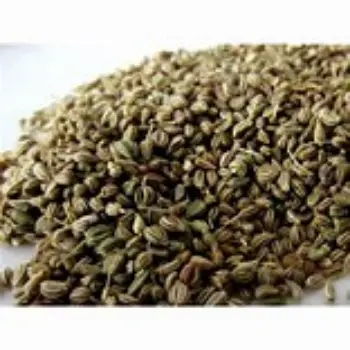 Ajwain