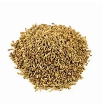 Fresh Ajwain