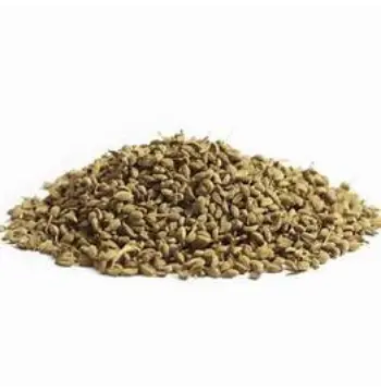 Fresh Ajwain