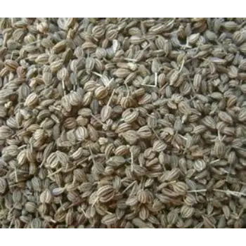 Fresh Ajwain