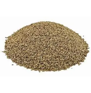 Fresh Ajwain