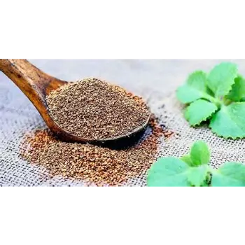 Organic Ajwain