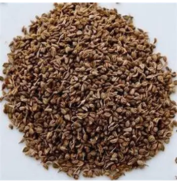 Organic Ajwain