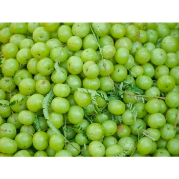 Fresh Amla