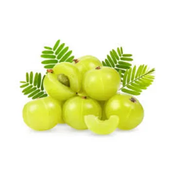 Natural Amla Plant