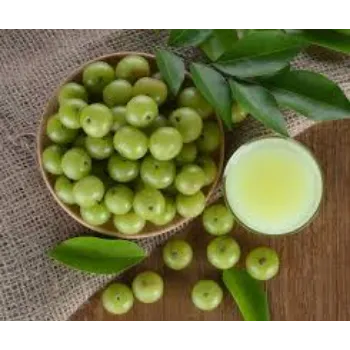 Green Amla Plant