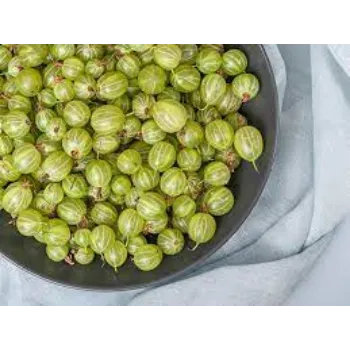 Fresh Amla