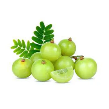 Fresh Green Amla