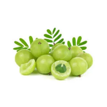 Organic Fresh Amla