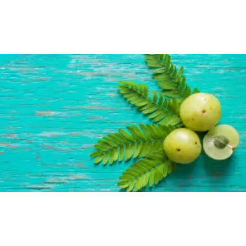 Organic Fresh Amla