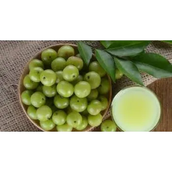 Organic Fresh Amla