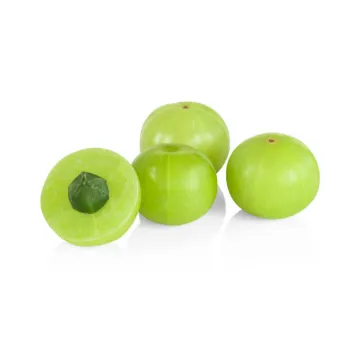 Common  Amla