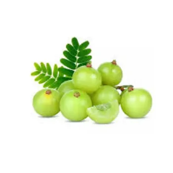 Organic Fresh Amla