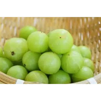 Fresh Amla