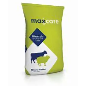 Animal Feed Bag