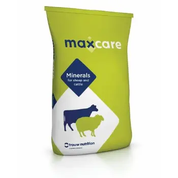 Solid Plastic Animal Feed Bag