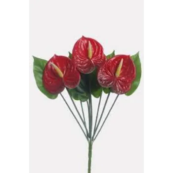 A.p. Flower Mart  Anthurium