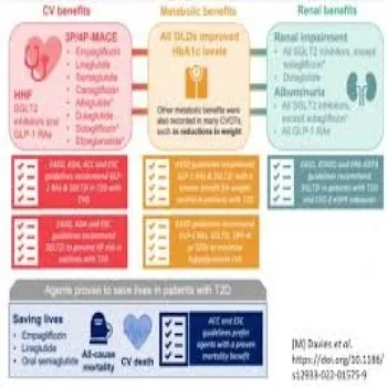 Anti-Diabetic Medicine