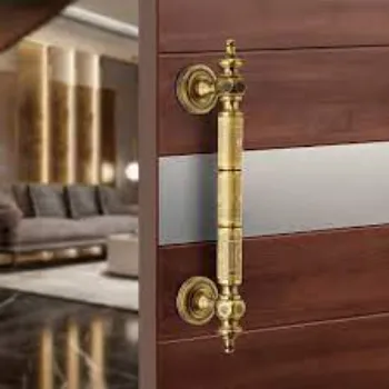 Rohit Antique Door