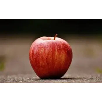 Common Fresh Apple