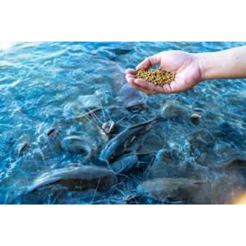 Aqua Feed Supplement
