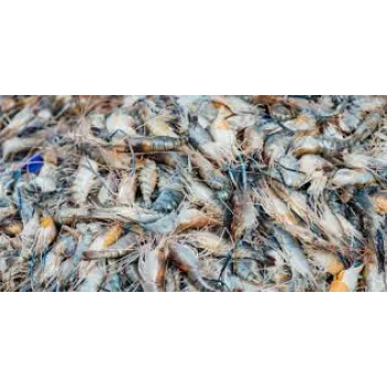 Organic Aqua Feed Supplement
