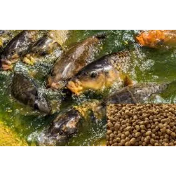 Organic Aqua Feed Supplement