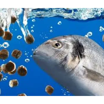 Aqua Feed Supplement