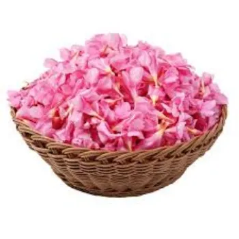 Fresh Arali Flowers