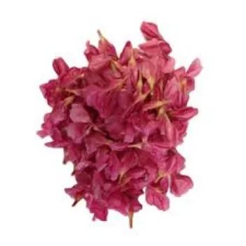 RAJESWARI NURSERY Arali Flowers