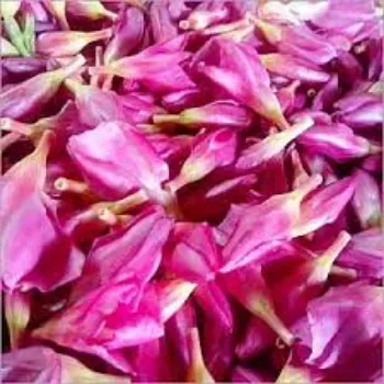 Fresh  Arali Flowers