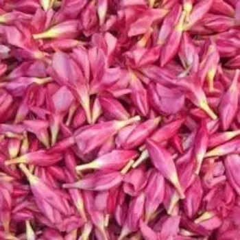 Red Arali Flowers