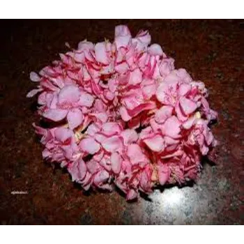 Natural Arali Flowers