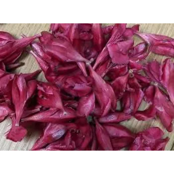  Arali Flowers