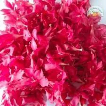 Arali Flowers