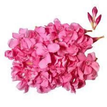 Organic Arali Flowers