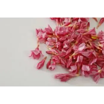 Common Arali Flower