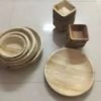 Future Box Private Limited Areca Leaf Bowl