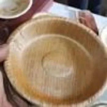 Ragavi Enterprises Areca Leaf Bowl