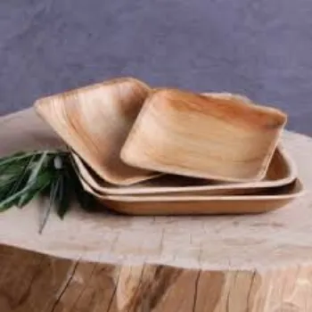  Areca Leaf Plates