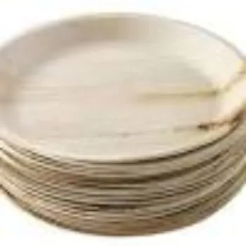 Ragavi Enterprises Areca Leaf Plates