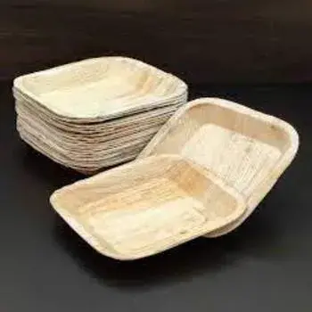 Rectangular Areca Leaf Plates