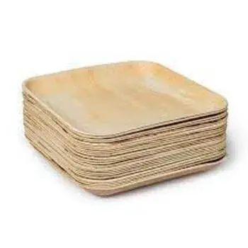 Eco-Friendly  Bagasse Disposable Plate