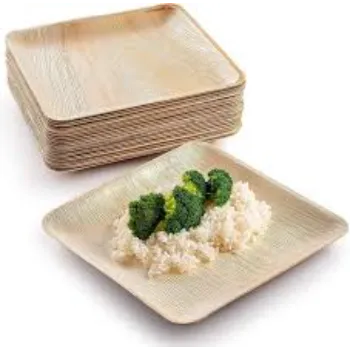 Areca Leaf Plates