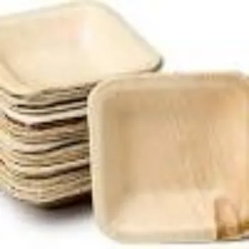 Customize Areca Leaf Plates