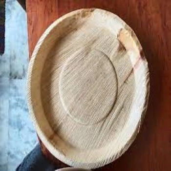 Areca Leaf Plates
